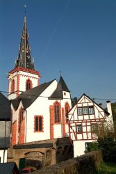 DSCF7627-bew